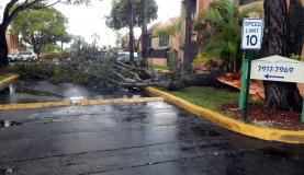 Furacão Irma Miami